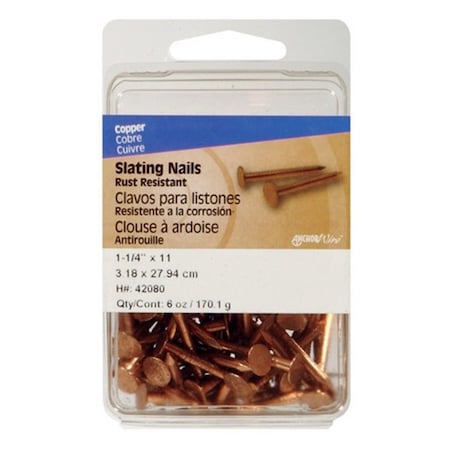 Homecare Products 42080 1.25 in. x 11 Ga Slate Nails HO3314753